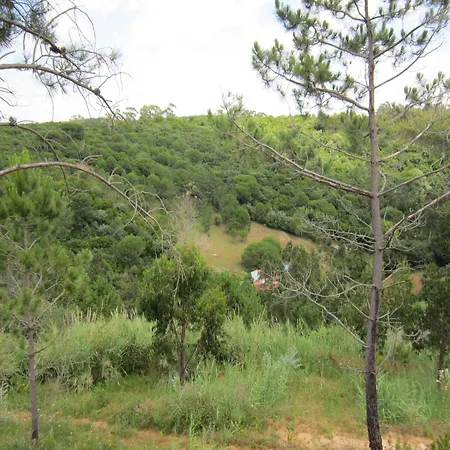 Modern In * Cela Velha